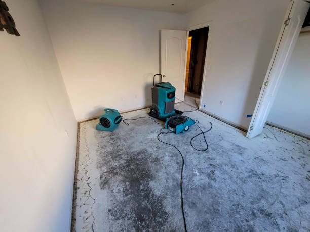 Best Residential water damage restoration  in Cottage Lake, WA