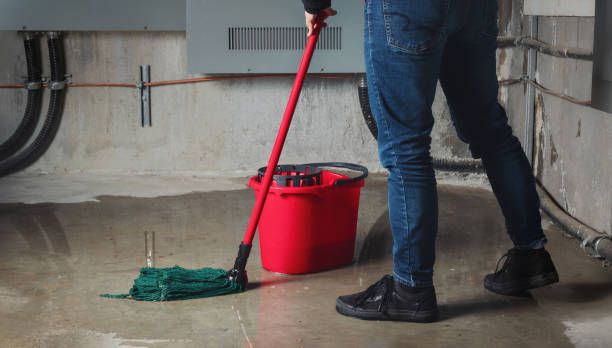 Best Flood damage cleanup  in Cottage Lake, WA