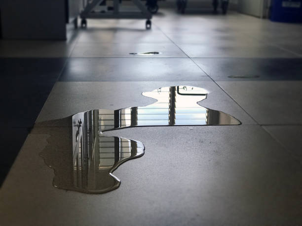 Best 24-hour water damage restoration  in Cottage Lake, WA