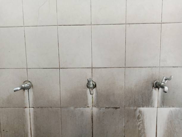 Best Carpet water damage restoration  in Cottage Lake, WA