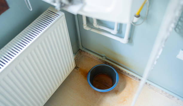 Best Water damage contractors near me  in Cottage Lake, WA