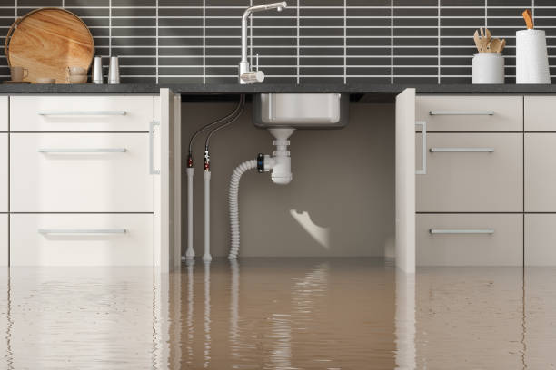 Best Flood damage cleanup  in Cottage Lake, WA