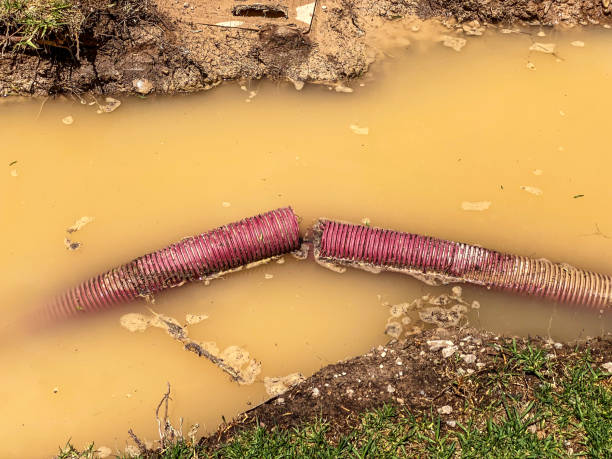 Best 24/7 water damage repair  in Cottage Lake, WA
